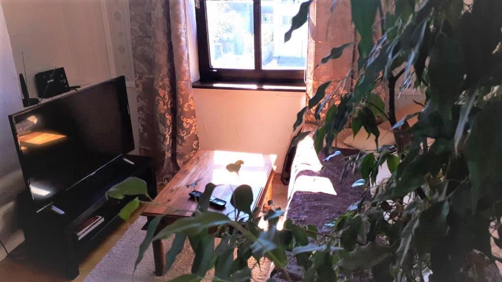 Schloss Weichs zu Regensburg mit 1-2Schlafzimmer Parkplatz Internet 60qm Zentrum Exterior foto